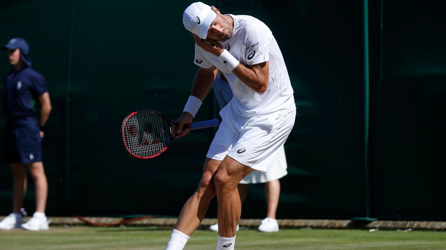 Plague Of Flying Ants Descends On Wimbledon