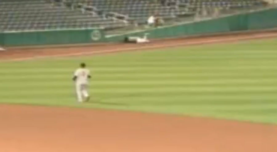 Giants Minor Leaguer Dives Head First Into Outfield Wall