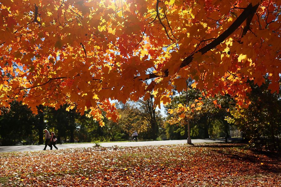 It's Time To Spend A Few Weeks Telling Yourself You Like Fall<em></em>