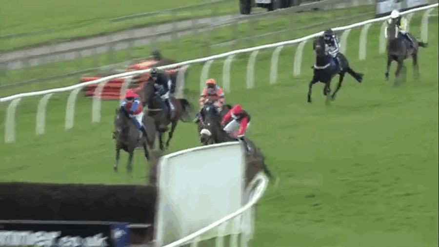 Jockey Picks Absolute Worst Time To Jump Off His Horse