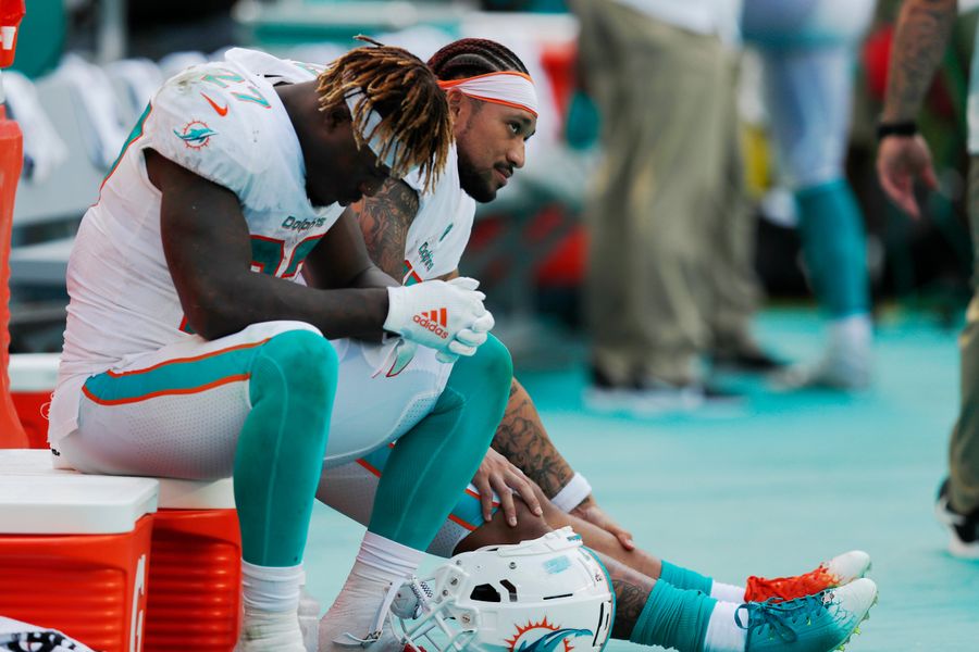 The Dolphins Aren't Enjoying This Fiasco Any More Than You Are