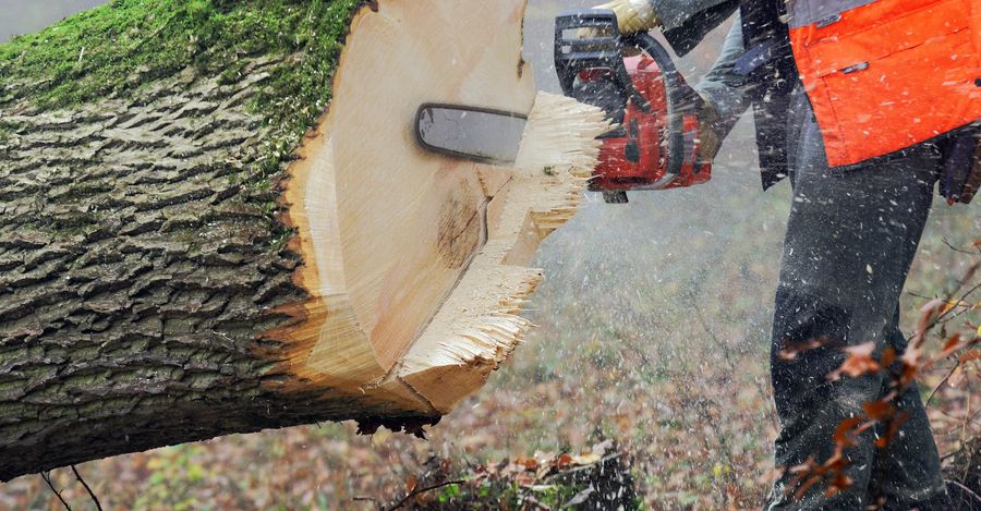 Controversy Over Lumberjack Celebration Engulfs Grey Cup