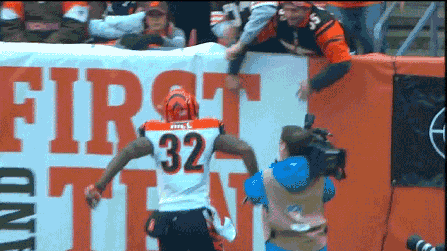 Jumping Into Opposing Team&#39;s Fans: Always A Bad Idea