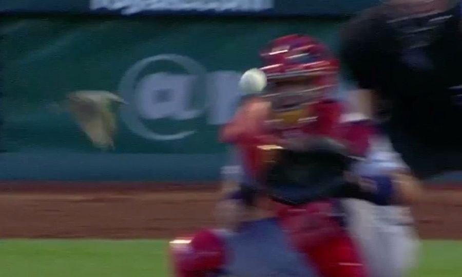 Adam Wainwright Almost Murdered A Bird, Randy Johnson Style