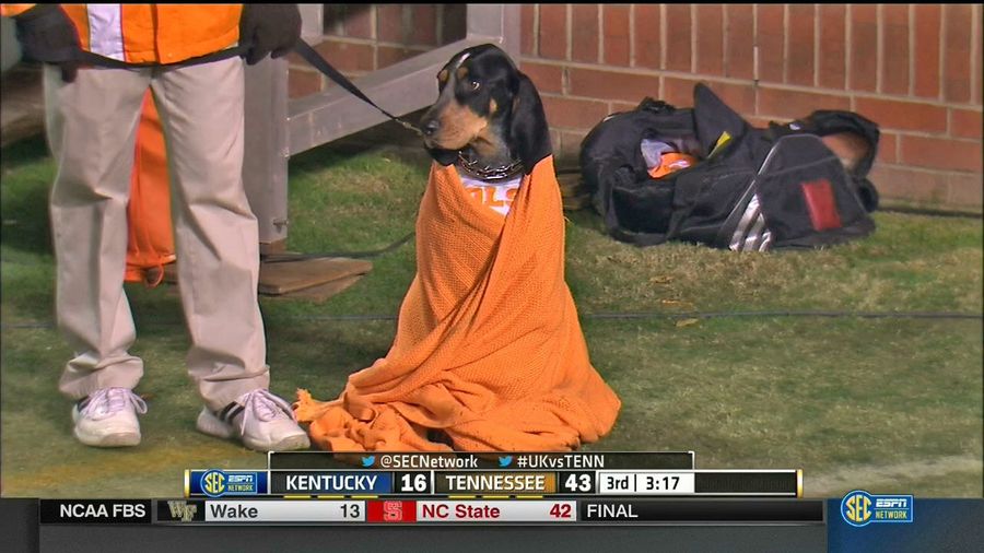 Smokey&#39;s Still The Best Live Mascot