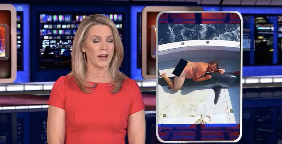 Orlando TV Guy Says He Knows Who The Nude Man Humping A Shark Is