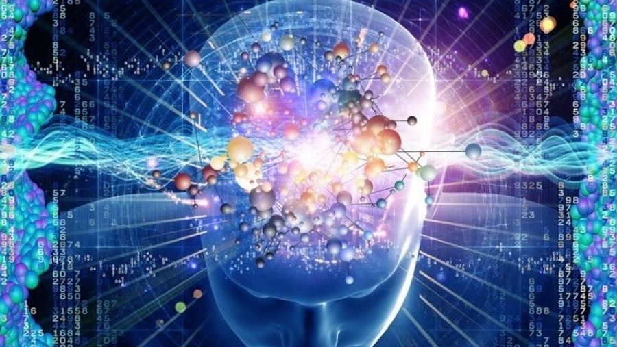 A Brain Meme In The Wild<em></em>