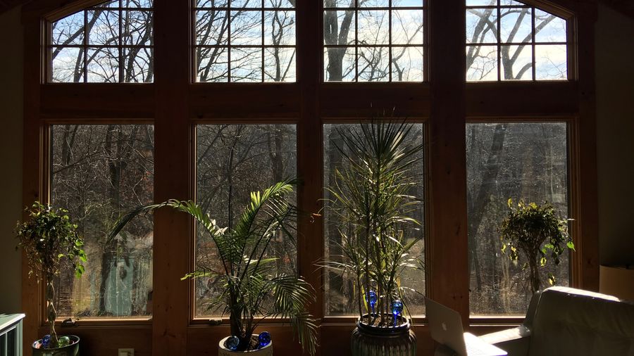 What's The View Like From Your Window?