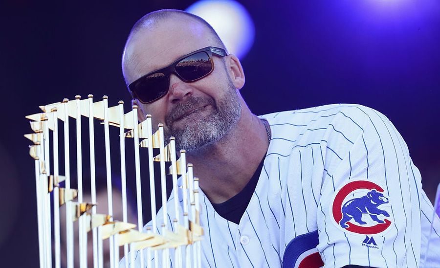 Too Much David Ross