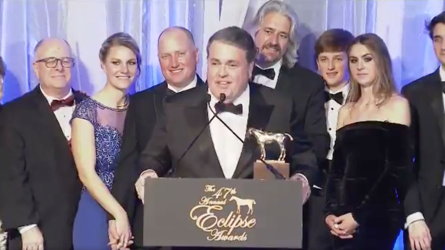 Horse Awards Missing One Essential Ingredient: The Horses Themselves