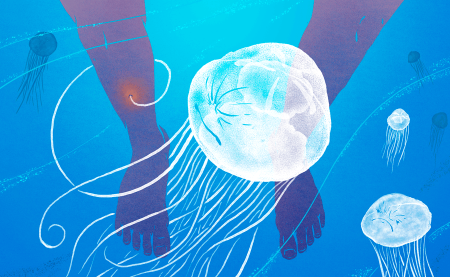 Jellyfish Are Assholes<em></em><em></em>