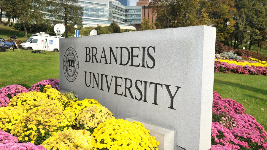 Brandeis Suspends Athletic Director Who Failed To Act When A Coach Told A Player He'd Ship Him Back To Africa<em></em>