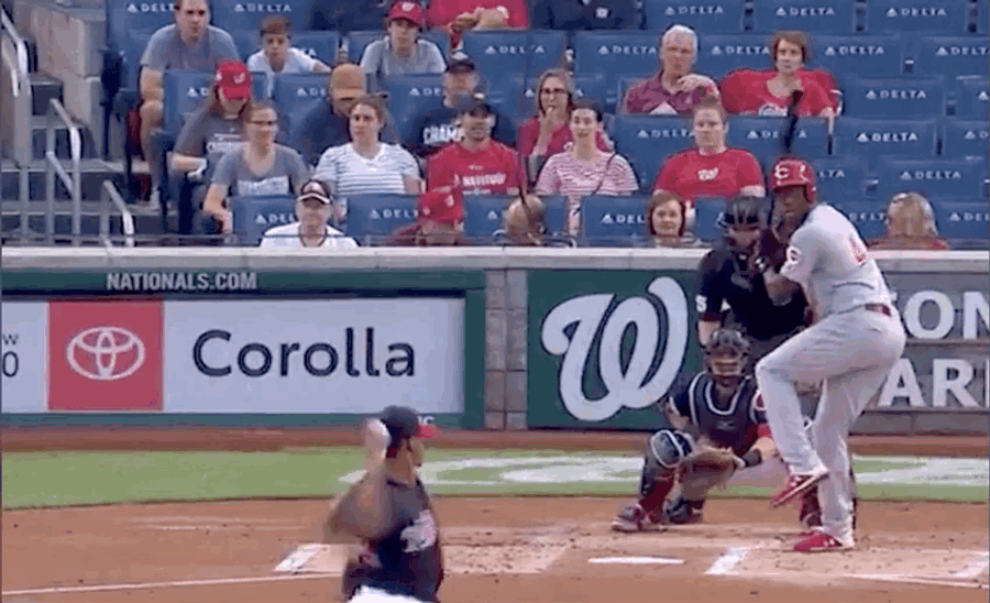 Safety Net Saves Fan But Not Beer