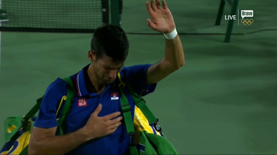 Juan Martín Del Potro Upsets Novak Djokovic, Gets Incredible Hug
