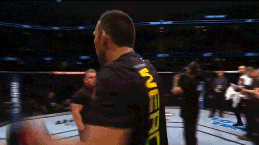 Fabricio Werdum Beats Travis Browne, Then Kicks Browne's Coach<em></em>