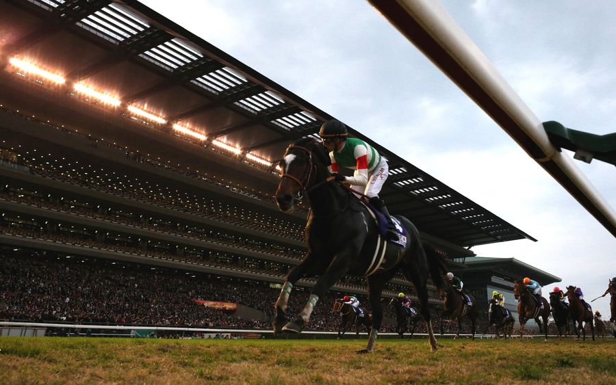 How Japan Built The World's Best Horse Racing