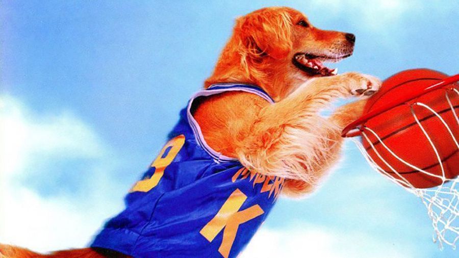 Jahlil Okafor’s Favorite Movie As A Kid Was <i>Air Bud</i>