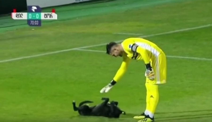 Good Dog Interrupts Soccer Match, Is Rudely Denied Belly Rubs