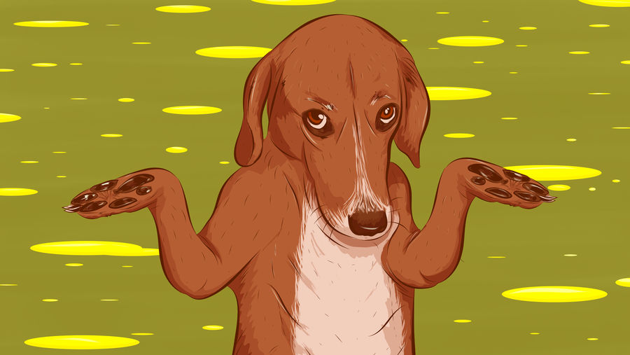 How To Housetrain Your New Puppy