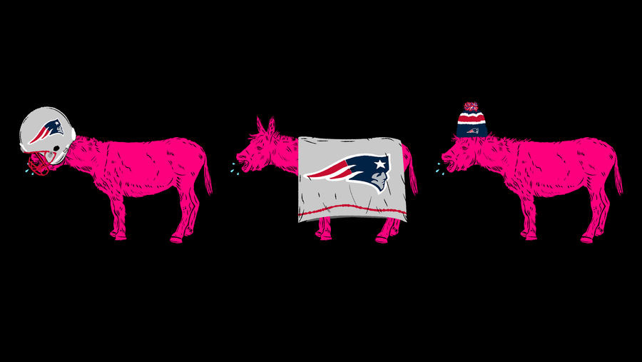 I Hate The Patriots And All Their Fans But I Live Here And Need Them To Win