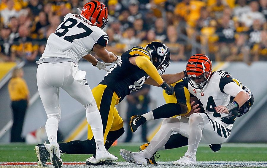 The Steelers Took Turns Suplexing Andy Dalton Into A Toilet