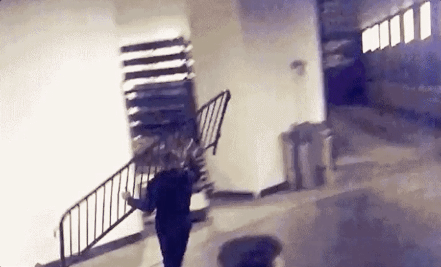 Conor McGregor In Custody, Will Be Charged With Assault For Rampage At UFC Press Event