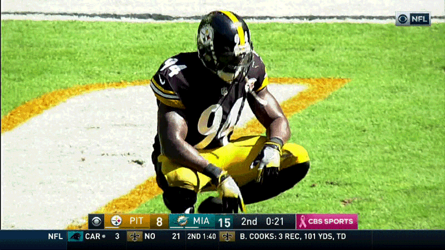 How It Feels To Be Losing To The Dolphins