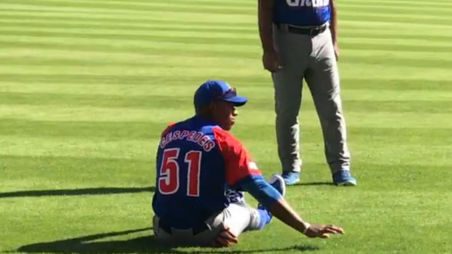 There's Another Cespedes And He's Got A Great Arm, Too