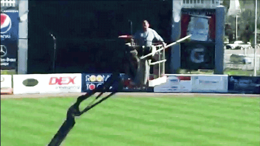 Raccoon Cheats Death At Yankees Spring Training