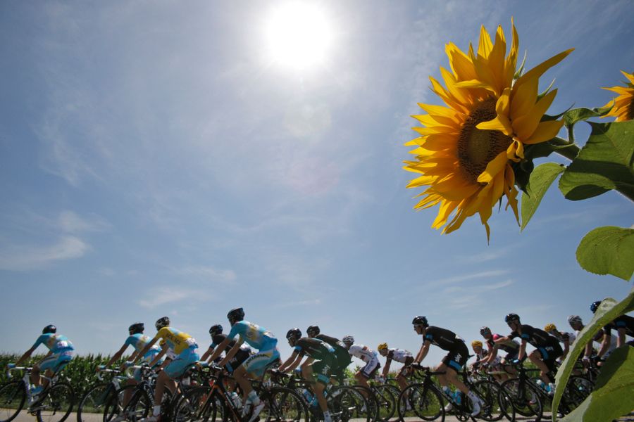 This Year, Everyone At The Tour De France Is Crashing Out